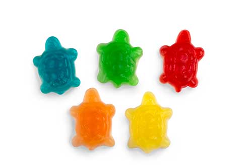 Jelly turtles assorted